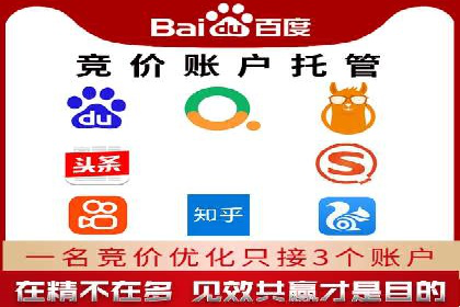 行业领先企业如何运用SEM进行精准营销